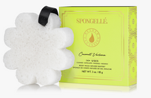 Load image into Gallery viewer, Spongelle Body Wash Infused Buffer